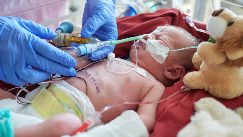 PDF-Portfolio 2025 web v3 ohne Titel10